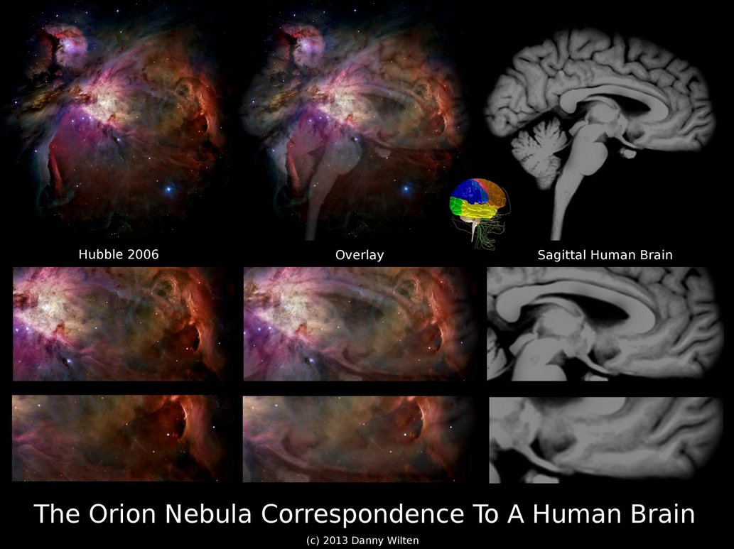 orion nebula correspondence to human bra