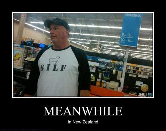 Bilder-Thread t6dac8Y demotivational-posters-meanwhile-man1