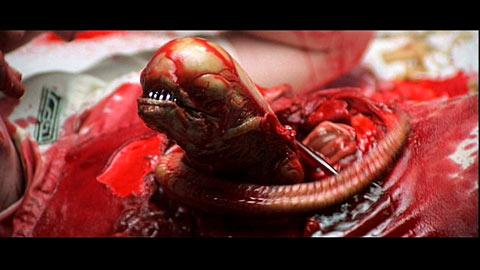 2154563-chestburster super