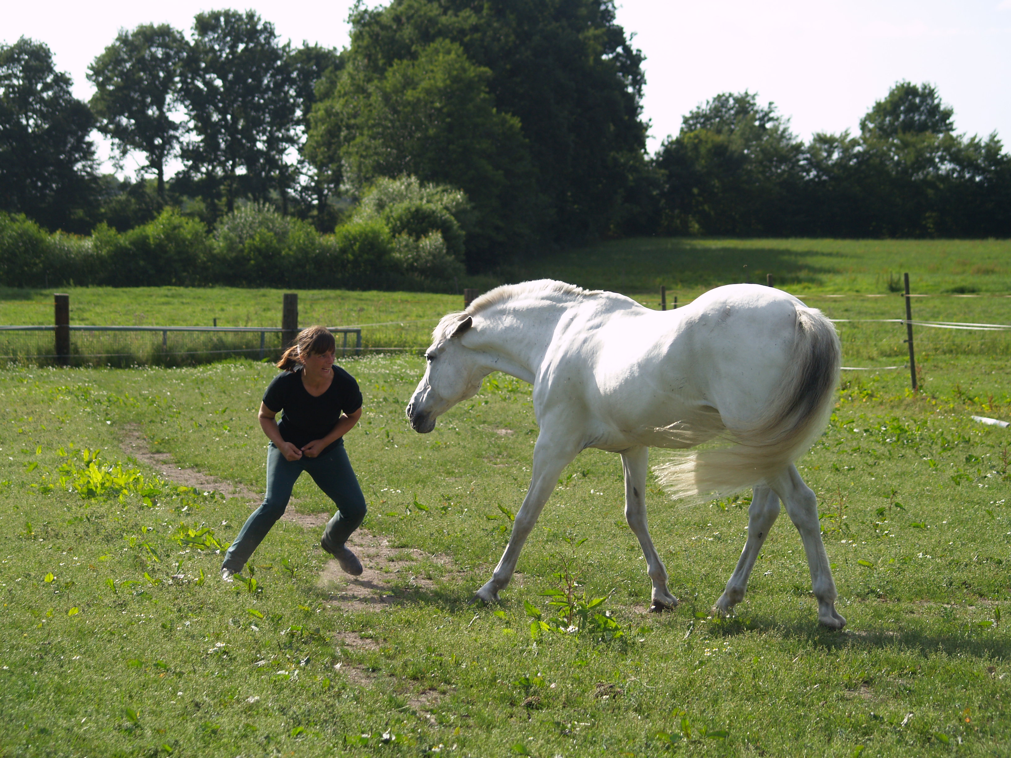 Bilder-Thread 14.-Juli-2006-017