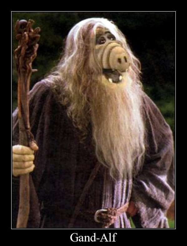 Bilder-Thread Gand-Alf-gandalf-alf