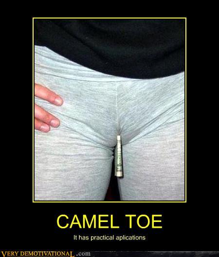 demotivational-posters-camel-toe