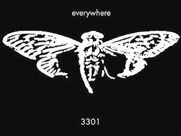 cicada-3301-1.jpgquality75stripall