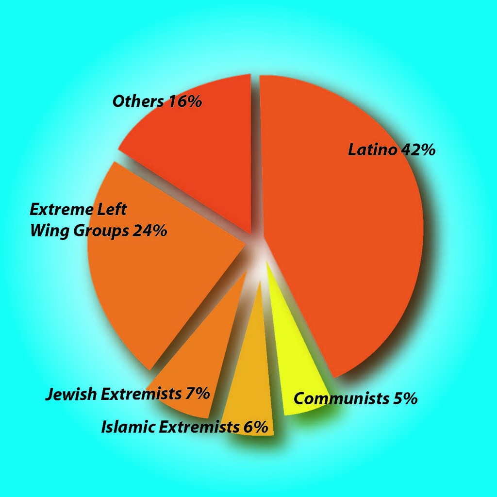 piechart2-1024x1024