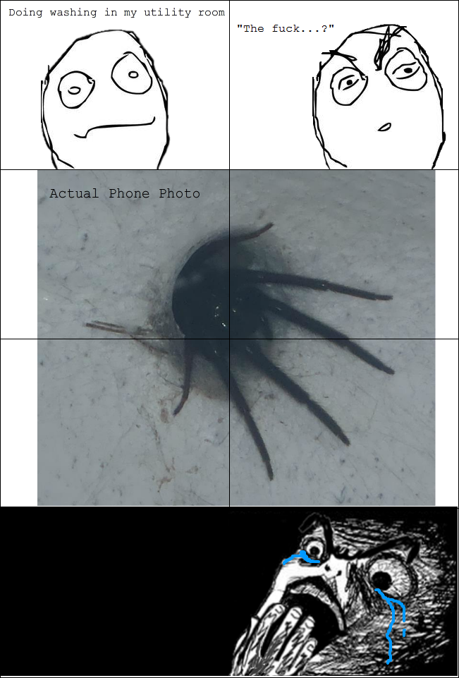 Bilder-Thread nope-nope-nope-nope