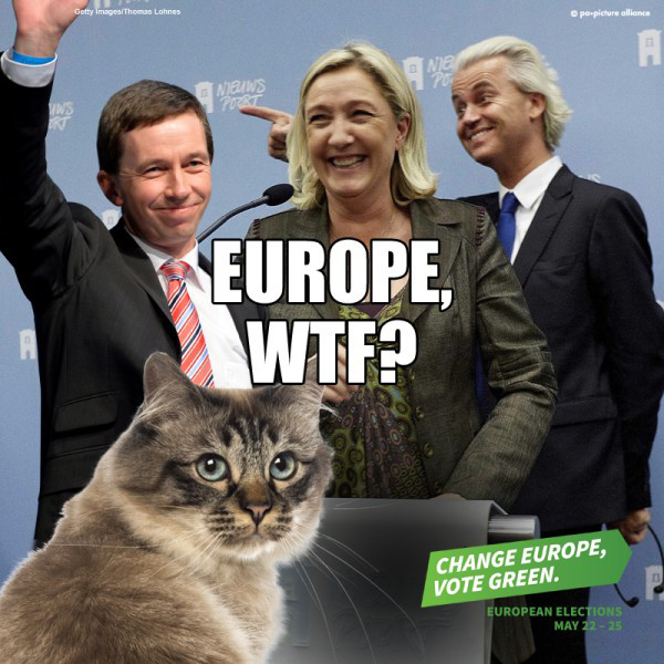 plakat gruene europawahl 2014
