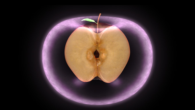 http://www.allmystery.de/i/t70dfae_the_torus___apple_by_ocelot0-d57lpuk.jpg