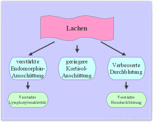 abb2 auswirkungen-von-lachen wolfgang-ho