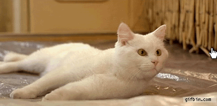 Bilder-Thread 1287566889 cat-vs-mouse-cursor