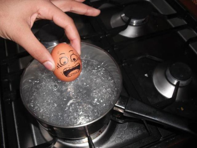Bilder-Thread Screaming-Egg-357