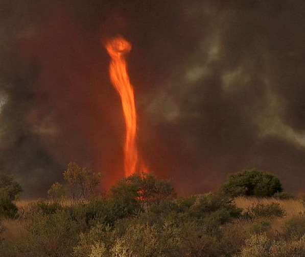 Bilder-Thread Tornado-Of-Fire-Hits-Australia-1