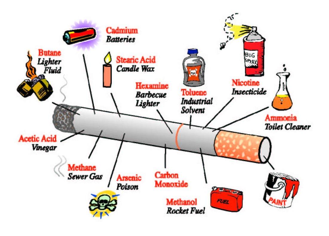 Bilder-Thread whatisincig