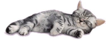 akat1011.gif katze