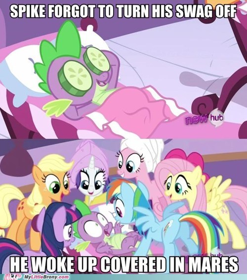 my-little-pony-friendship-is-magic-brony