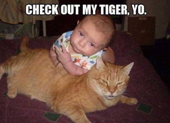 cats-a-babies-meme-7