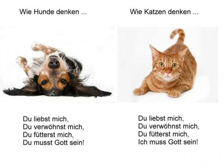 Adventskalender 2016 Der Kalender Seite 41 RennradNews.de