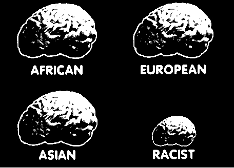 rassismus
