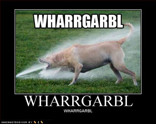 Bilder-Thread Wharrgarbl