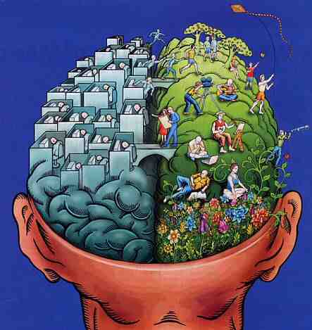 Brain-Hemispheres