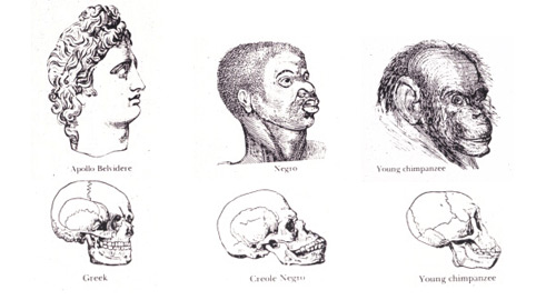 measuring race