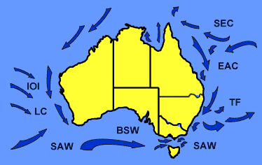 australia currents