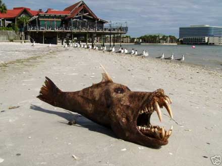 uh430481265372259tampa-sea-monster