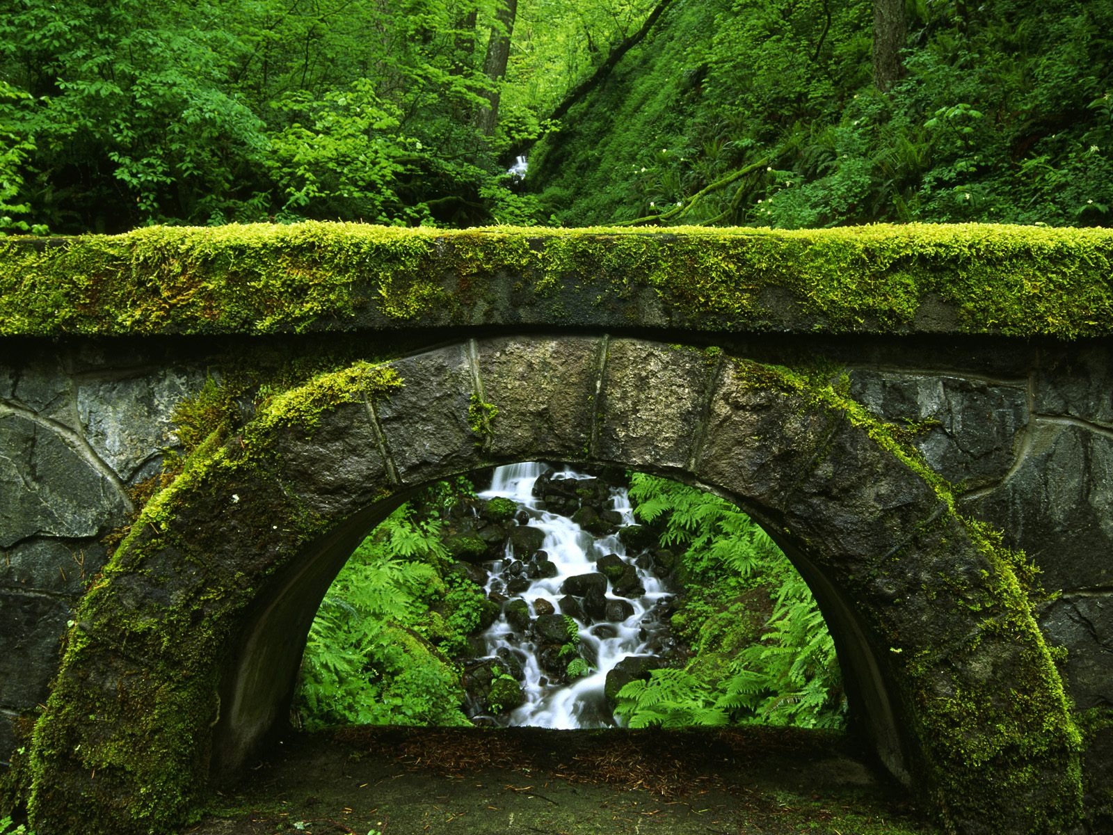 Bilder-Thread The-old-bridge