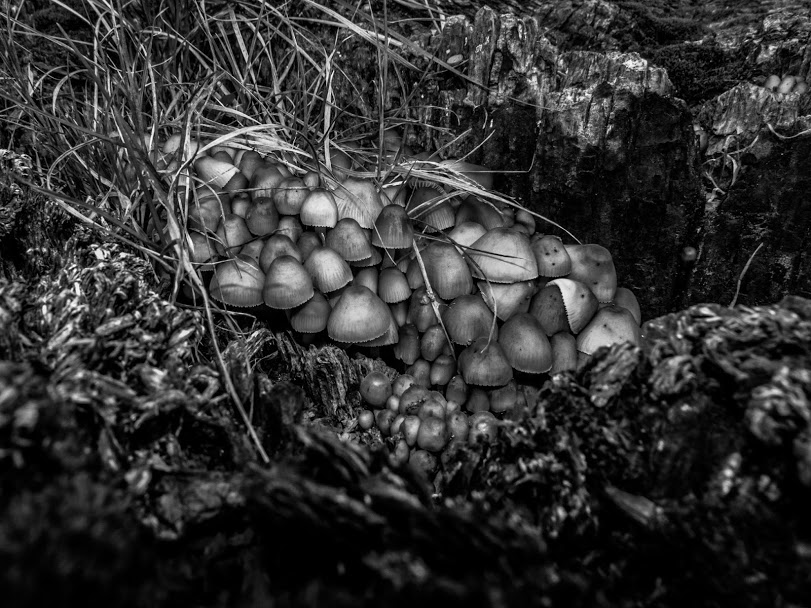 20120921 P1100265