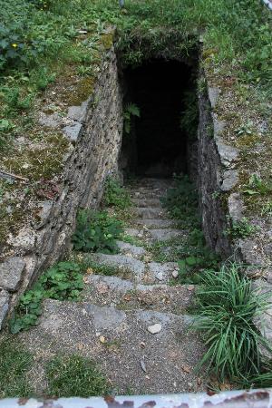 burg-rheinfels