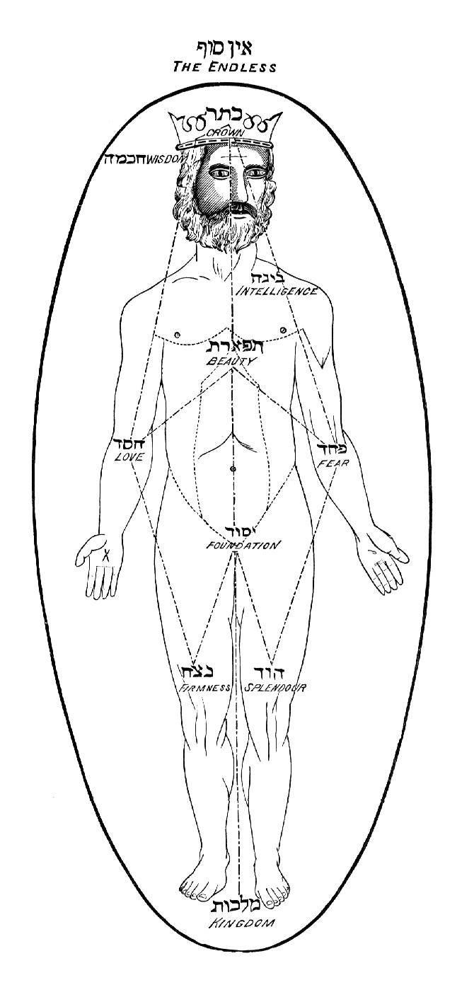 Adamtree