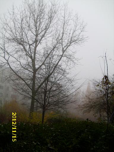 6bb879 Hof im Nebel 006 - Kopie