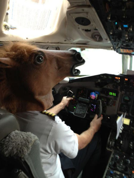 Bilder-Thread horse-head-mask-pilot-flying-plane-13594