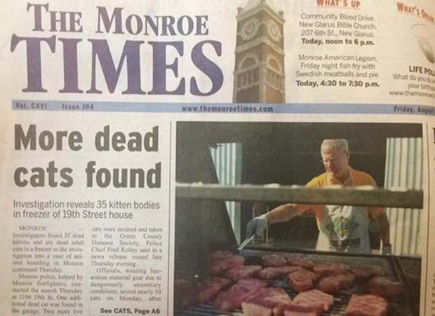 funny-newspaper-headline-fails-dead-cats