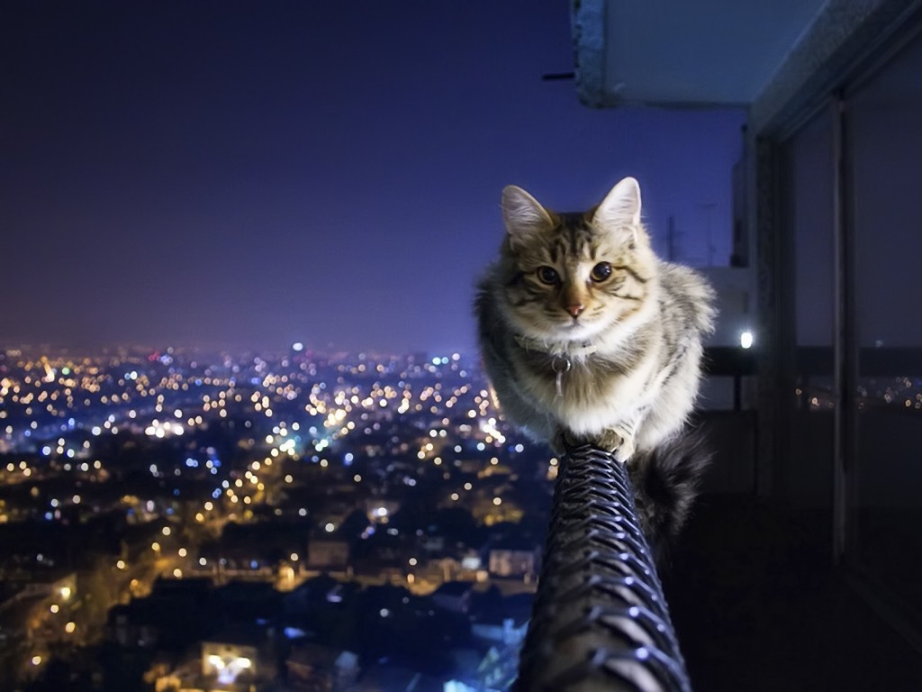 Bilder-Thread equilibrio en las alturas-1024x768