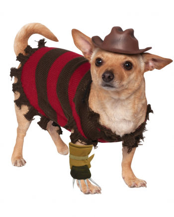 freddy-krueger-hundekostuem--freddy-krue