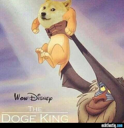 the-doge-king