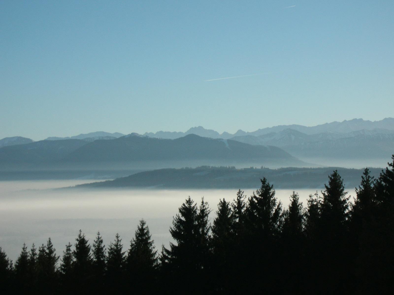 nebel-im-tal