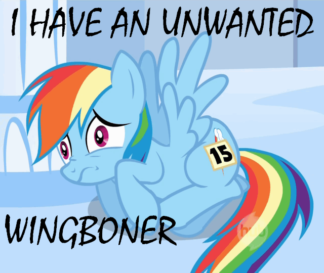 mlfw7571-unwanted wingboner