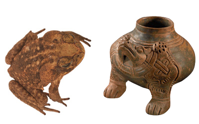 bufo-marinus-maya-archaeology-ceramic