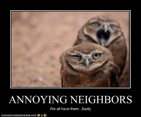 neighbors