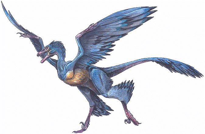 microraptor gui