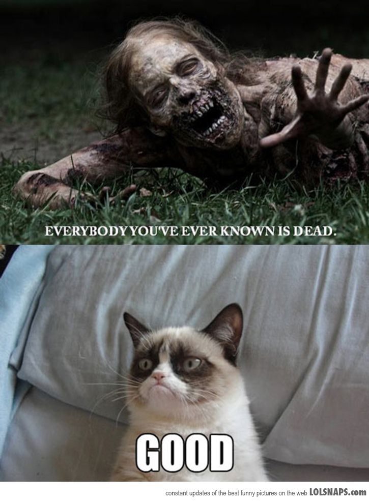 GrumpyCatDuringTheZombieApocalypse-99975