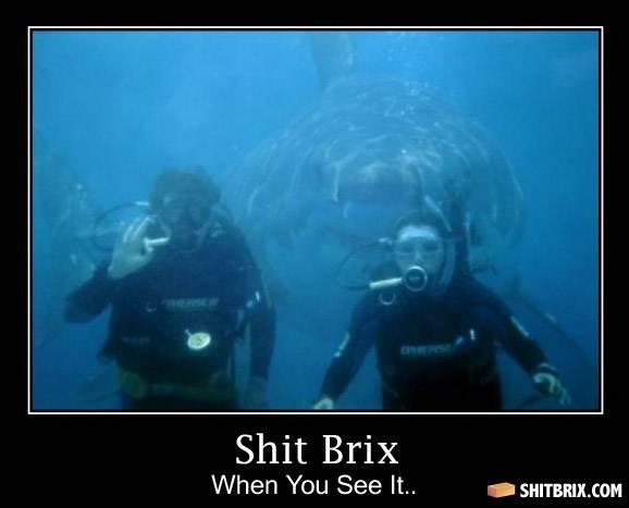 Bilder-Thread divers-16395