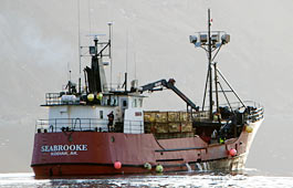 seabrooke-boat