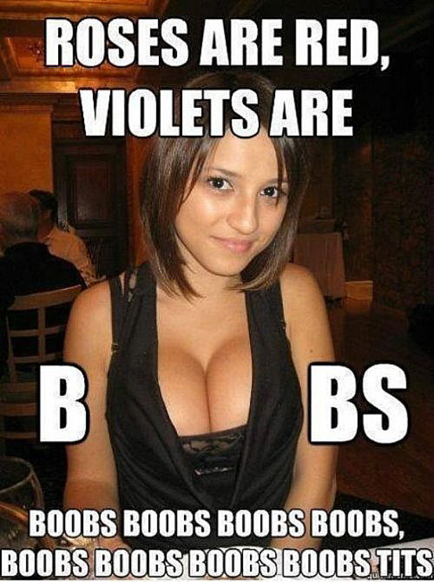 Bilder-Thread roses-red-violets-blue