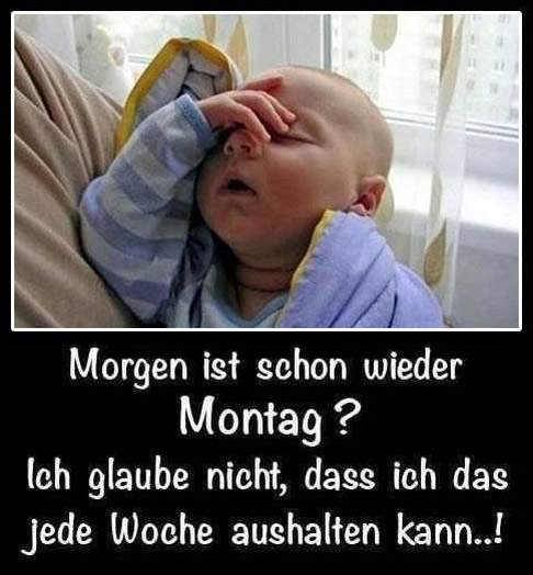 morgen-ist-montag 011