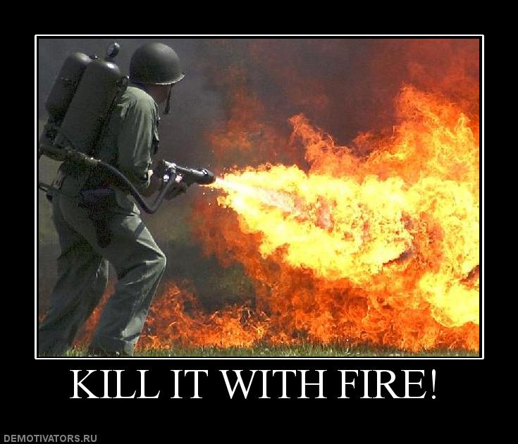 Kill it with fire image macro