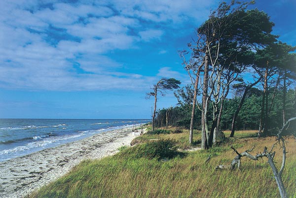 graal mueritz strand mit duene