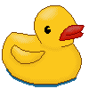 RUBBER DUCK by Gnog