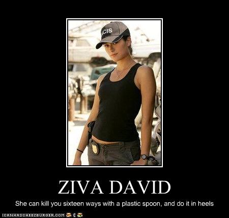 Bilder-Thread ziva-21